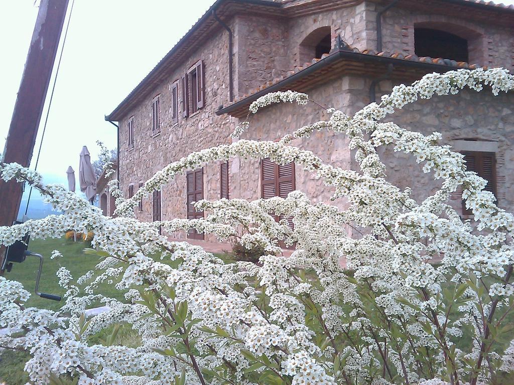 Agriturismo Il Poggiolo Montemerano Eksteriør bilde