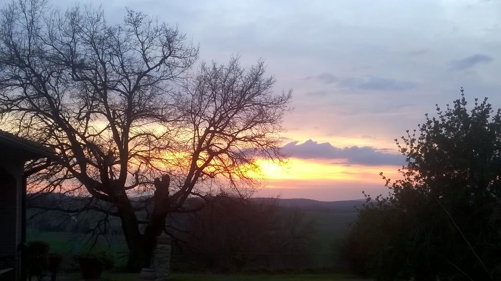 Agriturismo Il Poggiolo Montemerano Eksteriør bilde